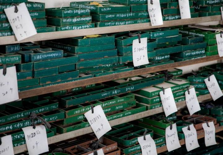 We have a large number of knife molds that can quickly meet your needs for different bag styles.