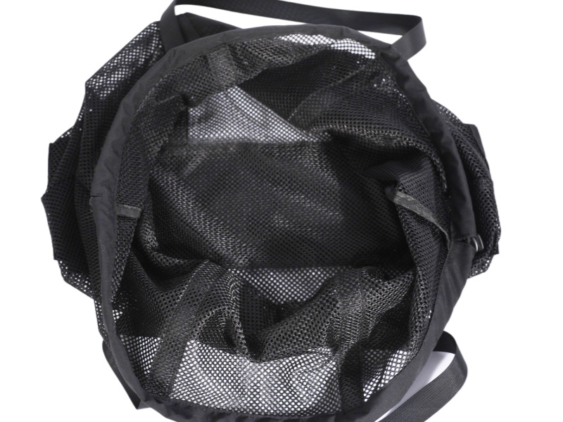PK25166 b6